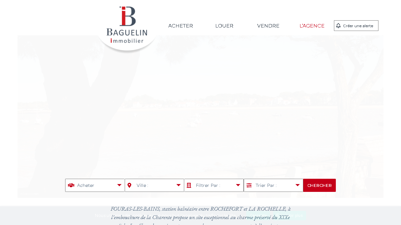Capture d'écran de http://www.baguelin-immobilier.com/ 